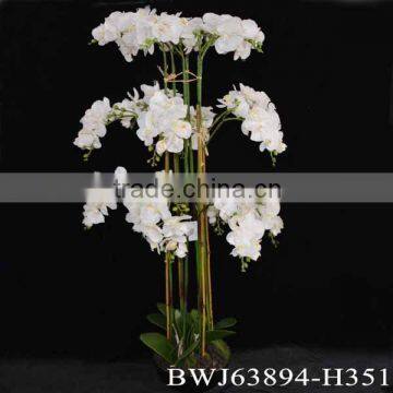 flower orchid artificial