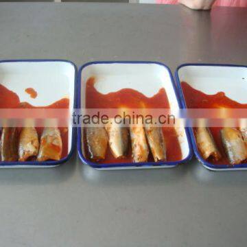 Canned sardine in tomato sauce 425g/235g/255g/280g
