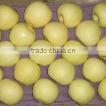 Cheap Price of Chinese Golden Pear