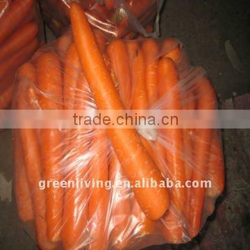 2014 fresh jumbo carrot