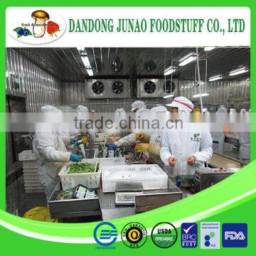 Fresh Frozen IQF Grade A Bulk Packaging Spinach photo-3