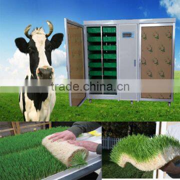 CE Certificate Trade Assurance green grass hydroponics