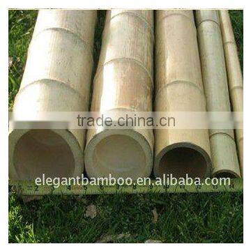 natural bamboo cane ,pole for decoration structure and furniture