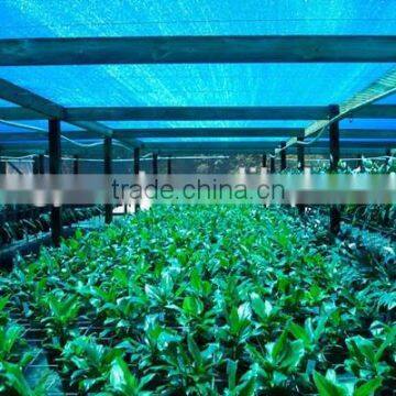 agriculture green house sun shade net