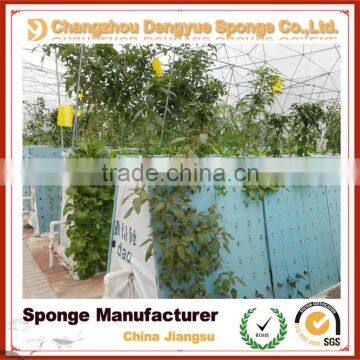 No Need Fertilizer Save Soil Green Planting Hydroponic Foam Odorless Growing Sponge photo-2