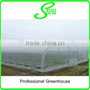 Hot Sale Poly Green House India photo-2