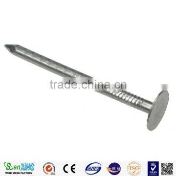 Sanxing Common Nail One of Biggest Manufacturer in Anping photo-3