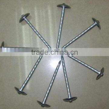 / /chinese // anping nails // manufacturers//