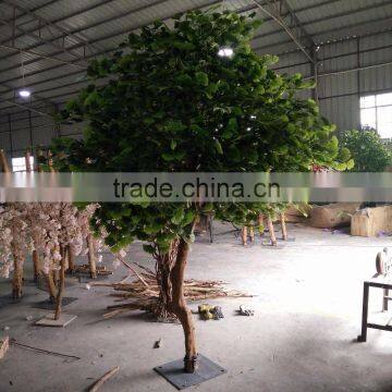 Ginkgo Biloba Supplements Artificial Ginkgo Biloba photo-3