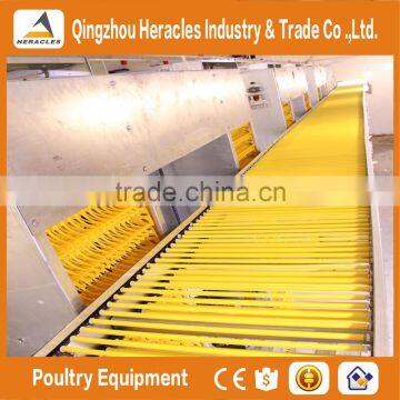 Heracles Factory Price Chicken Layer Cage- A Type of Poultry Cage photo-4