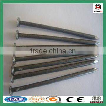China Iso Factory Good Quality Construction Hot Sale Common Wire Nail photo-6