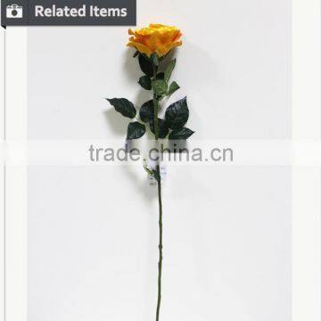 Rainbow Rose Flower Valentine's Gift Rose Flower photo-6