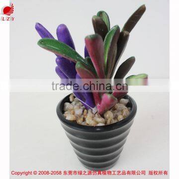 Factory Hot sale artificial succulents plants mini artificial succulents