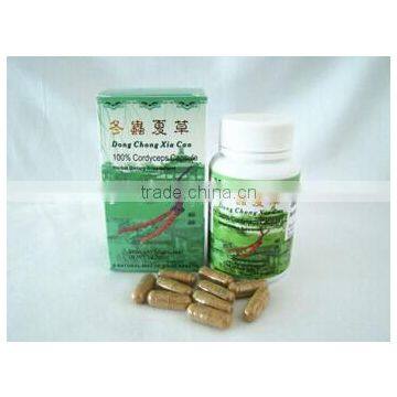 hot selling Cordyceps capsule