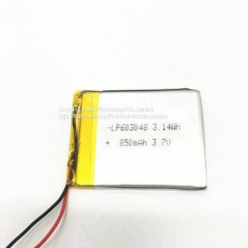 Lipolymer Battery