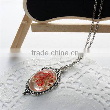 Glass Bottle Locket Necklace Antique Silver Link Cable Chain Oval Pendant Transparent With Pink Dried Flower 46.5cm Long