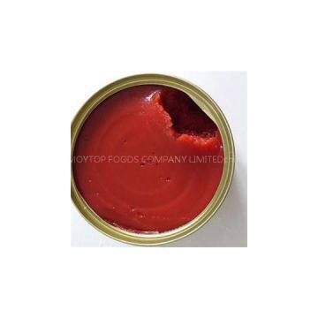 Tomato Paste In Can