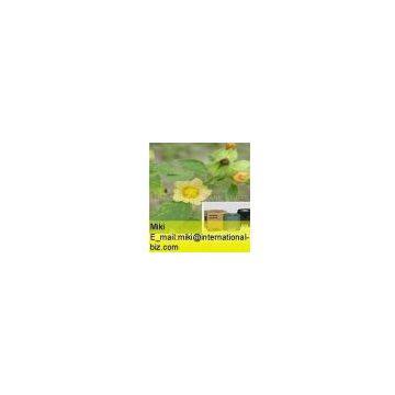 Sida Cordifolia Extract
