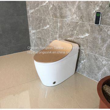 China sanitary ware portable Bathroom modern new design gold intelligent toilet seat cover with all self-clean system