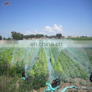 pe Plastic Woven Hail Netting Windbreaks Hail Mesh Netting for Greenhouse