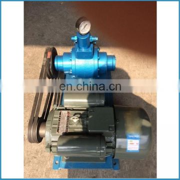 rotary vane type lpg transfer pump