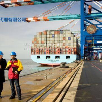 Shanghai to Batam Sea Freight FCL Cargo Southeast Asia Line Logistics Service