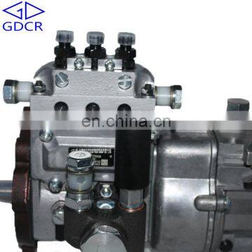 Wuxi Weifu Fuel Injection Pump 2IW225 for Luotuo YTR2105T