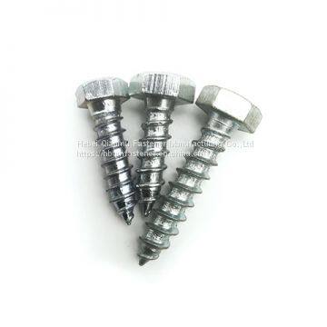 DIN571 M6 M12 Hex Head Wood Screw Fastener photo-2