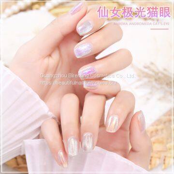Bright Colors Cat Eye Gel 5d Cat Eye Gel Polish photo-2