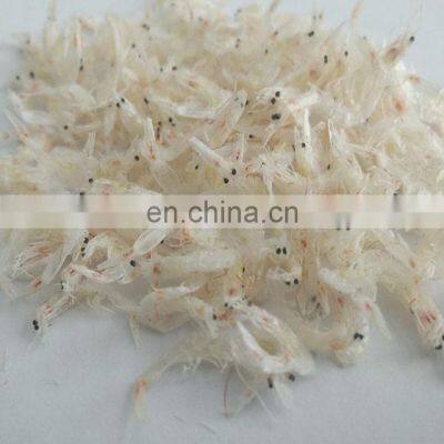 High Quality Frozen Dried Baby Shrimp photo-5