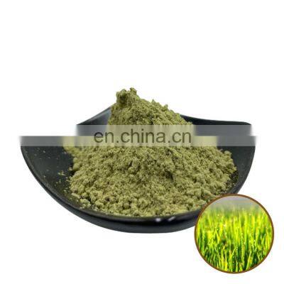 Factory Supply Wheat Barley Grass Juice Powder Barley Grass Powder Wheat Grass Powder