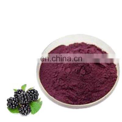 98% Natural Raspberry Black Raspberry Extract Powder