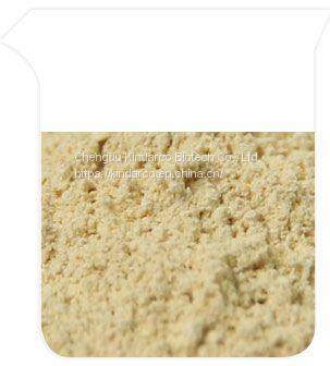 Phloretin
