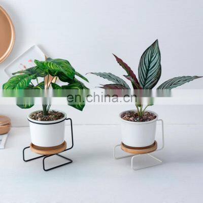 Simple Style Iron Frame S-shape Ceramic Flower Pot Ins Green Plants Succulent Creative Flower Pot With Metal Stand