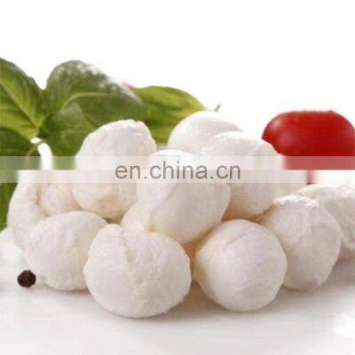 Mozzarella Cheese Vat Cheese Making Machines Cheese Pressing Machine photo-5