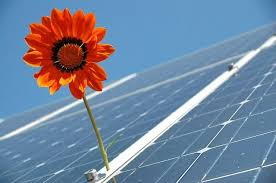 Solar Photovoltaic Panels