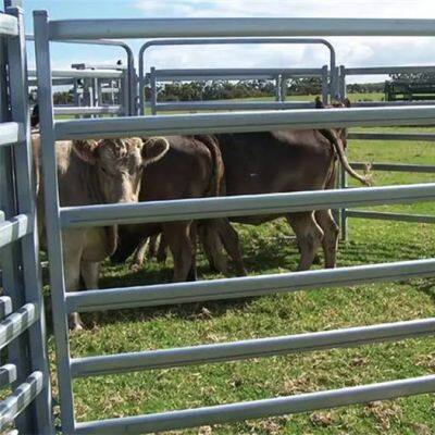 Wholesale Cattle Panels Galvanized Heavy Duty Galvanized Livestock Cattle Panel Used Corral Panels photo-2