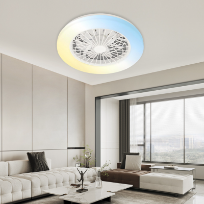 Neues 20-Zoll-Fanlicht / leises DC-Motor-Frequenzumrichter-System mit dreifarbiger Dimmung (Wechat: 13510231336)