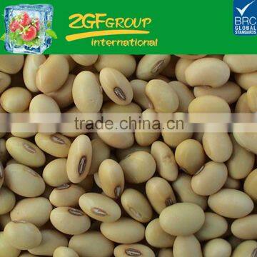 Hot Sale fresh and healthy light speckled beans