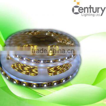 Hot Sale Flexible 12V 24V SMD5050 Led Strip Lights Led Rope Lamp Led Ribbon for Outdoor Indoor Decor photo-3