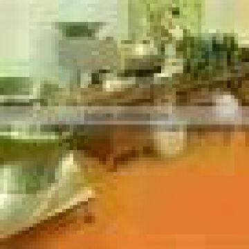 Tablet/Capsule Bottle Filling Linkage Line