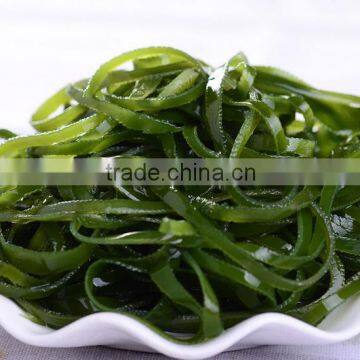 Bubble Type Kelp Washing Machine|Mushroom and Bean Sprout Cleaning Machine photo-6