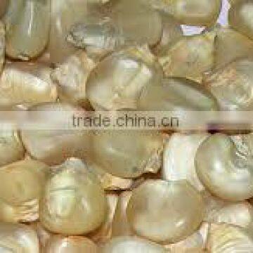 Animal Feed White Maize