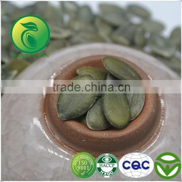 Benifit Of Pumpkin Seeds Kernels Extract