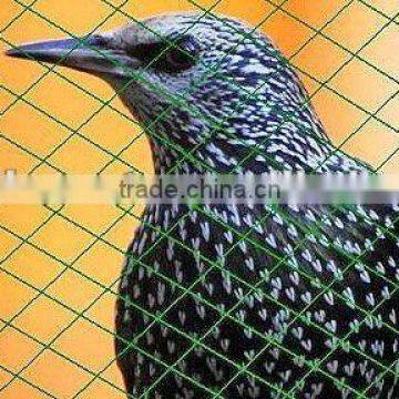 Plastic Bird Net