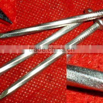 40x3.0mm Concrete Nail photo-5