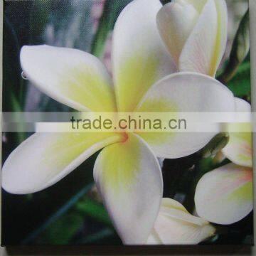 hotsales beautiful lily canvas frame paints