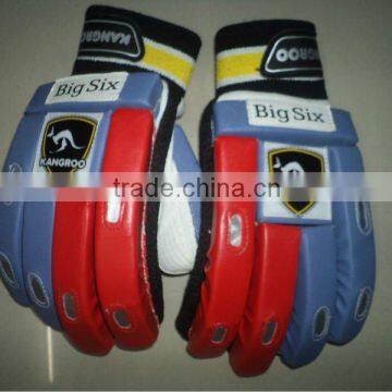 Cricket Batting Gloves