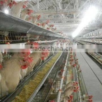 battery hen layer cage chicken feeding system