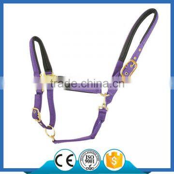 H1010 Adjustable Deluxe Horse Halter with PVC Foam Padding